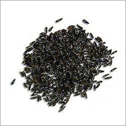Black Cumin Seed Oil